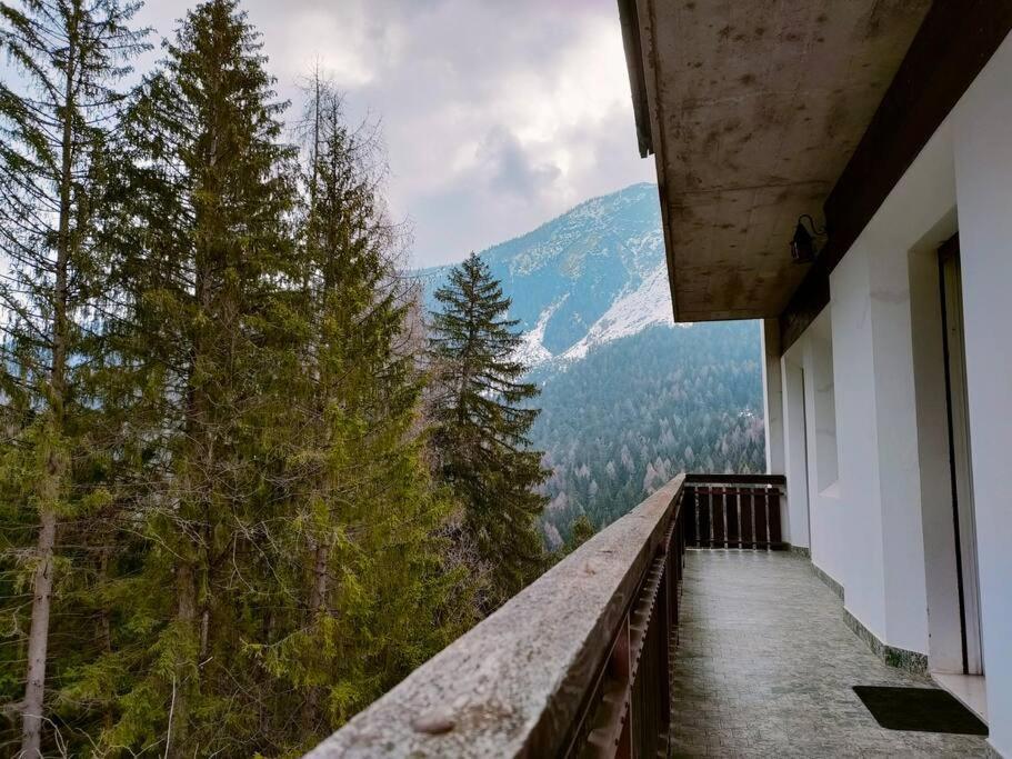 Il Terrazzo Sulle Dolomiti Apartment Cibiana Екстериор снимка