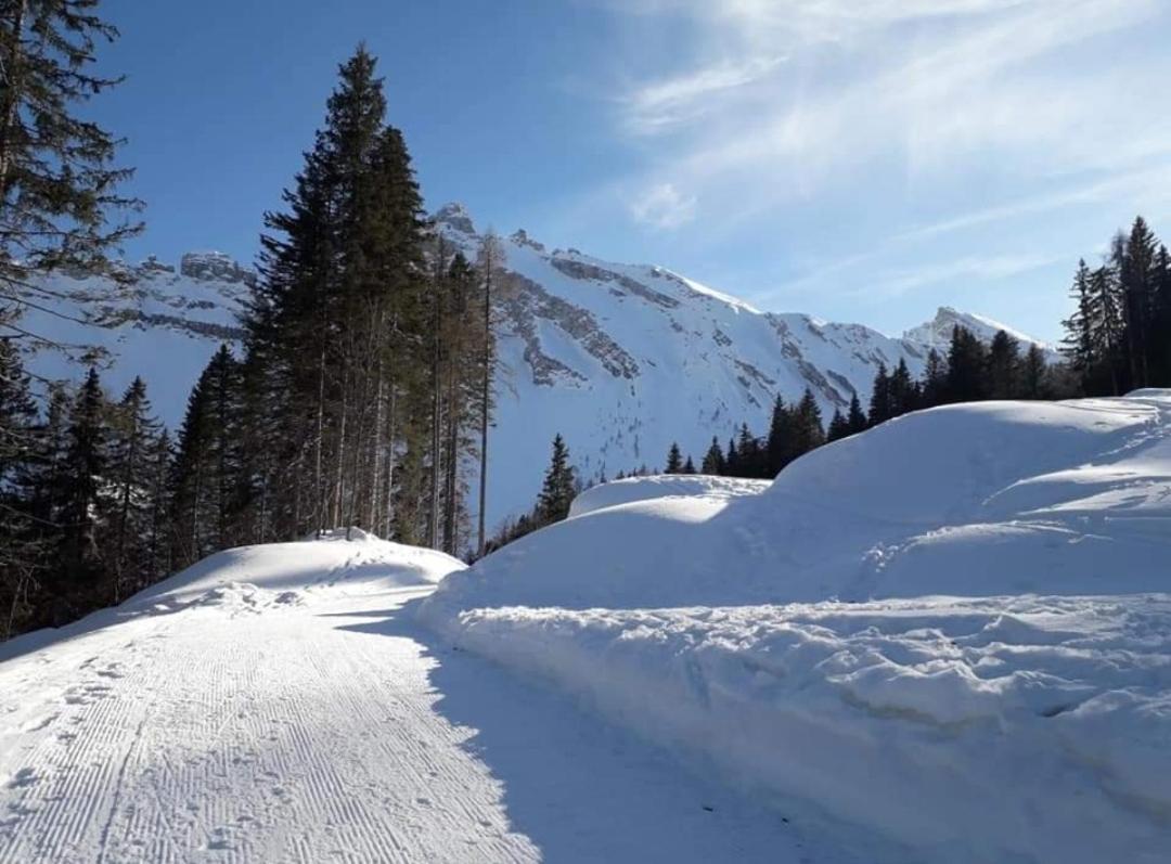 Il Terrazzo Sulle Dolomiti Apartment Cibiana Екстериор снимка