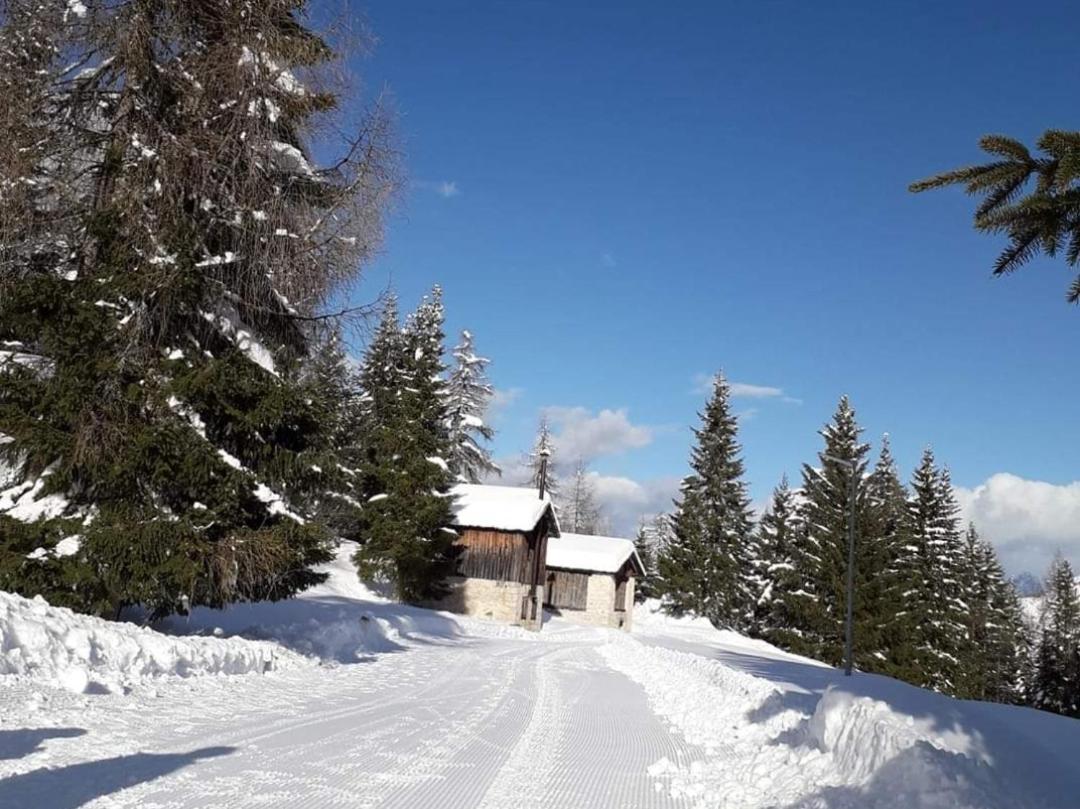 Il Terrazzo Sulle Dolomiti Apartment Cibiana Екстериор снимка